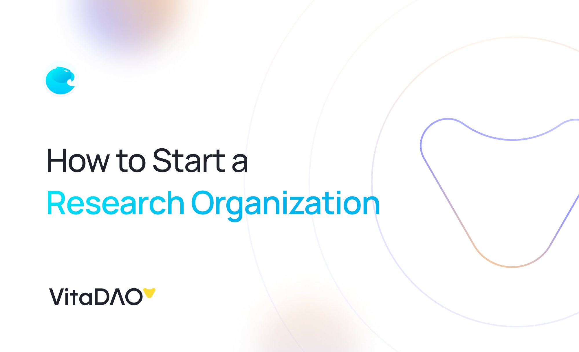 How to Start a Research Organization (from your Bedroom) | VitaDAO