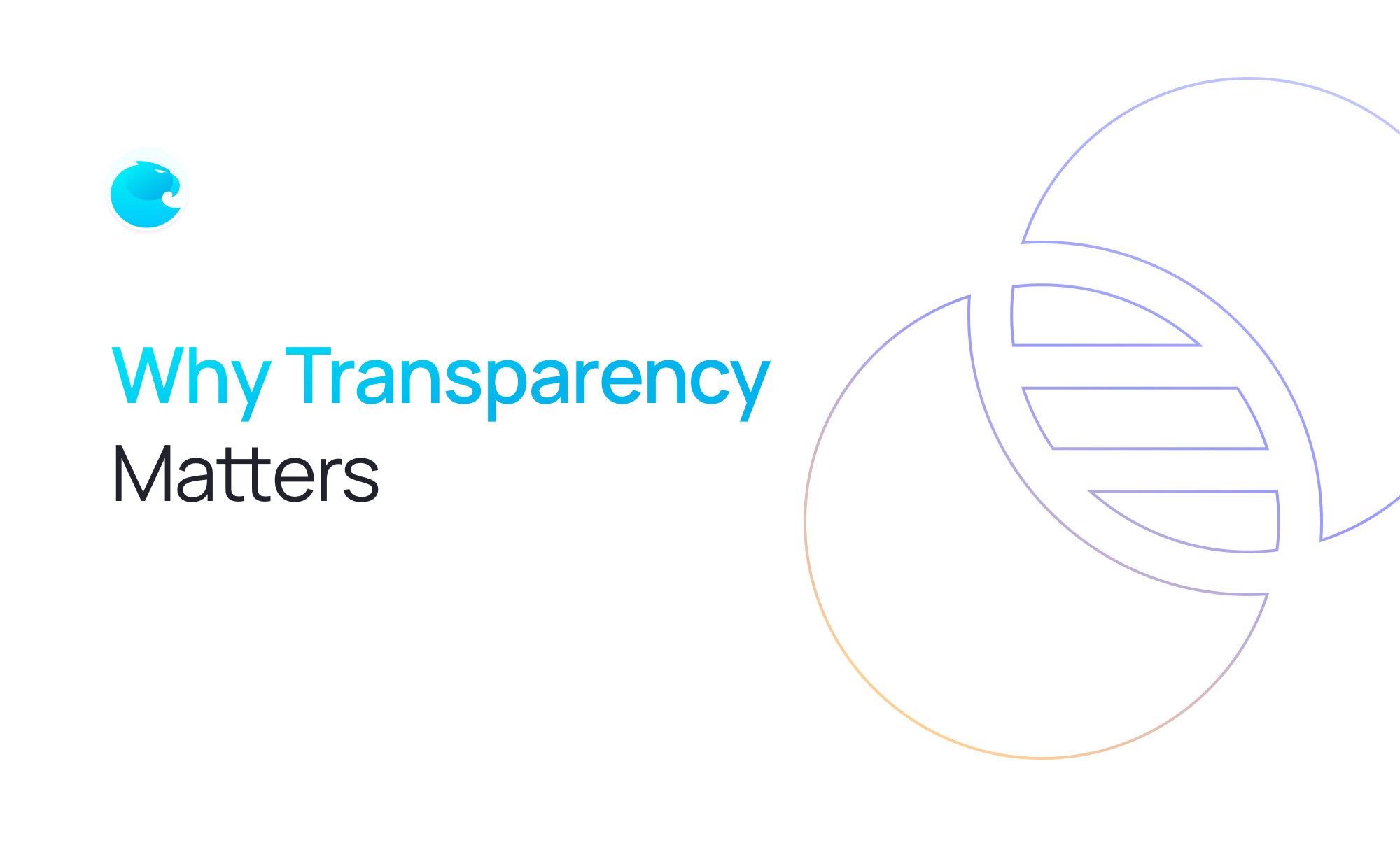 Why Transparency Matters