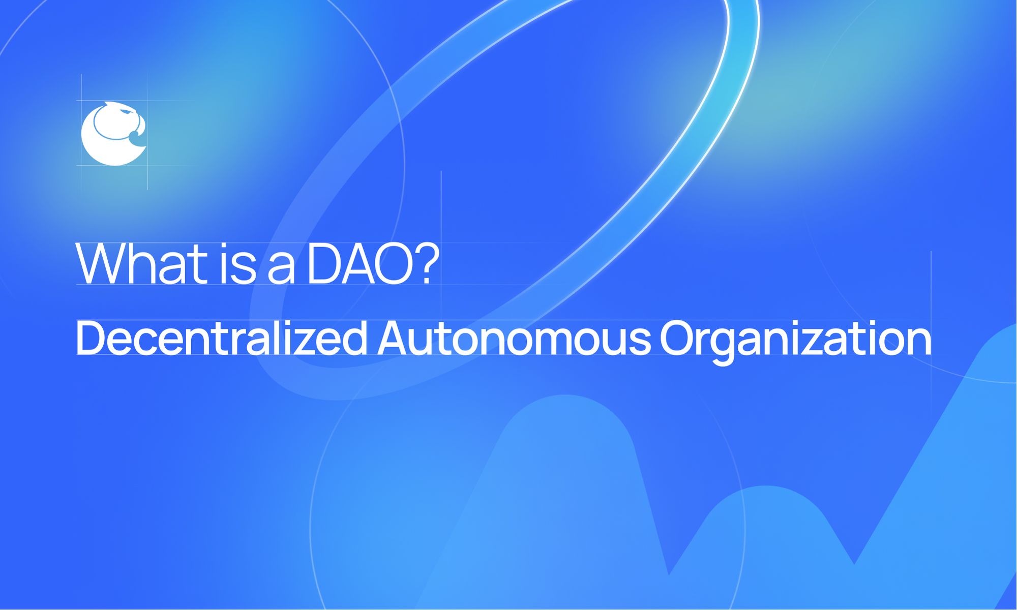 What is a DAO?