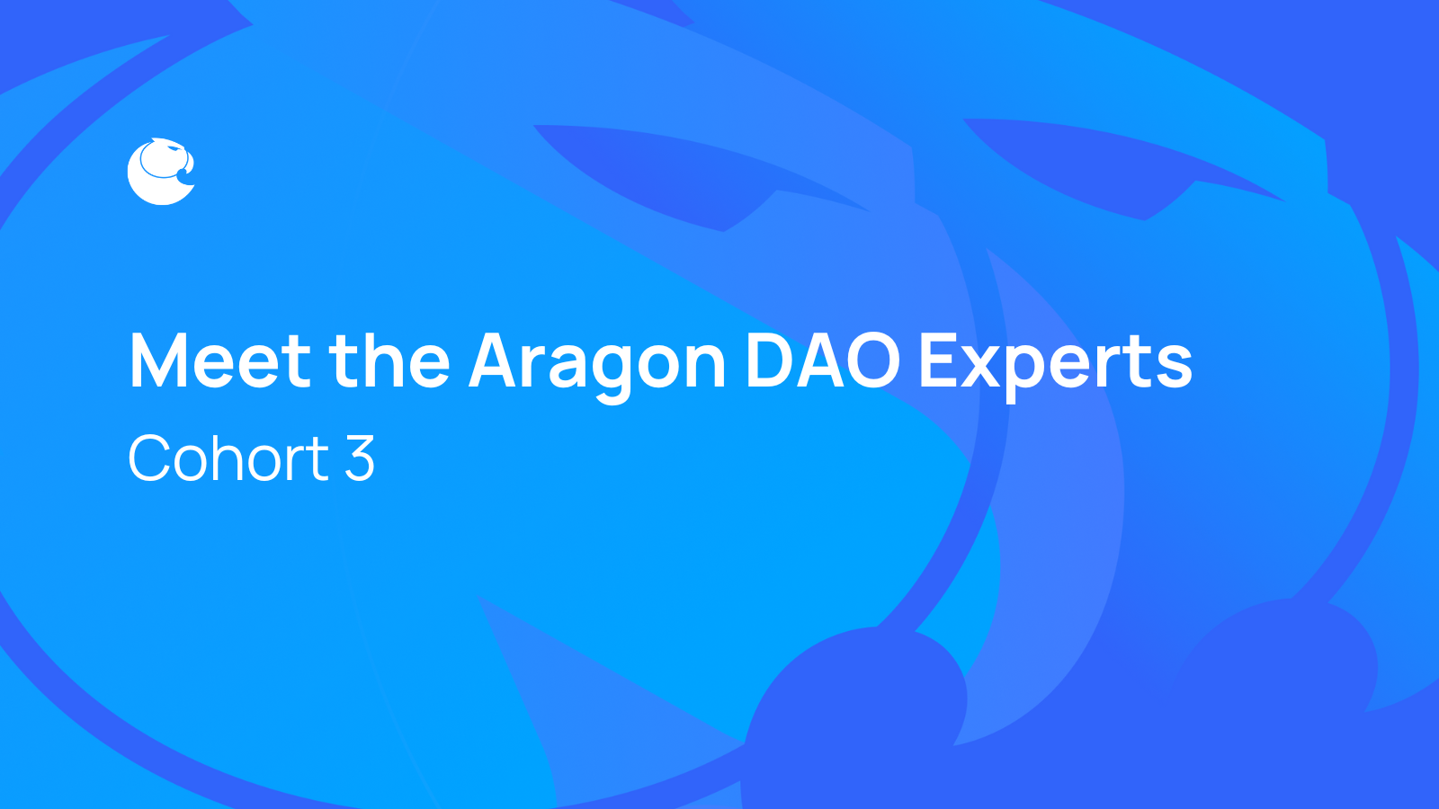 Meet the Aragon DAO Experts: Cohort 3