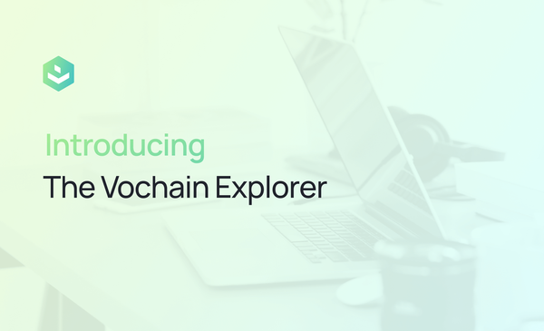 Introducing the Vochain Explorer