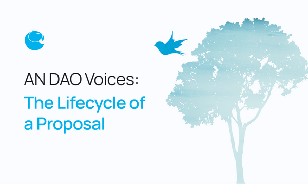 AN DAO Voices: The Lifecycle of a Proposal